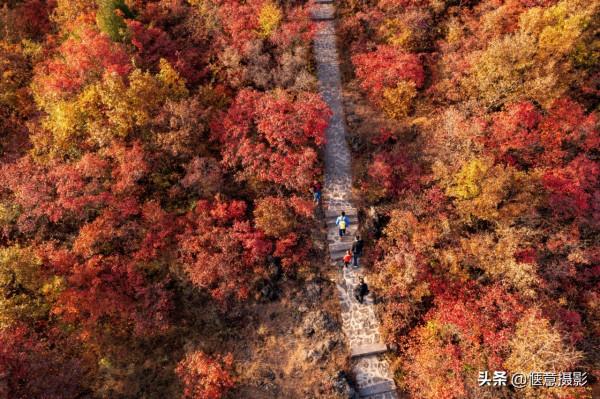 鄭州環翠峪,霜葉紅於二月花 鄭州環翠峪,霜葉紅於二月花