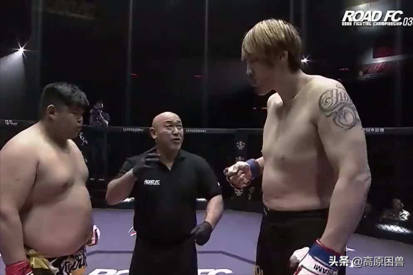 別小看胖子！功夫熊貓聽過沒？他血洗賽場，揚威海外