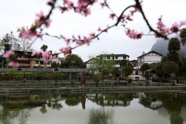 抓牢鄉村振興關鍵點