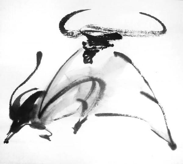 關於牛,全都是好看的 關於牛,全都是好看的