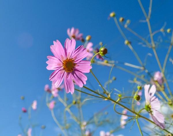 明年，4個星座，看似柔弱實則堅韌，無懼任何困難，大步朝前走
