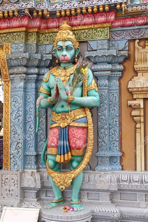 偷錢、殺人、綁架,印度猴子無惡不作,老百姓們為何拿它們沒辦法 偷錢、殺人、綁架,印度猴子無惡不作,老百姓們為何拿它們沒辦法