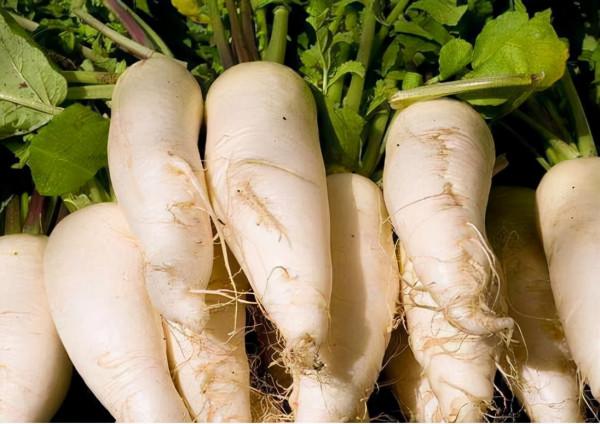 蘿蔔是胃病的“加速器”?提醒:冬季養胃,這3種食物要少吃 蘿蔔是胃病的“加速器”?提醒:冬季養胃,這3種食物要少吃