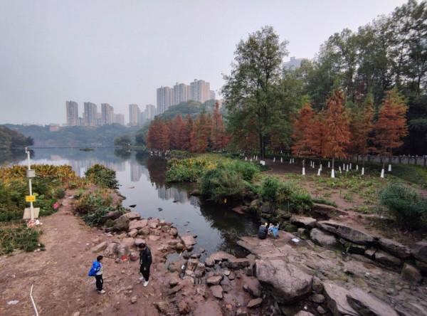 首發價1799！moto edge S30體驗，首款888 Plus+LCD屏手機靠得住嗎？