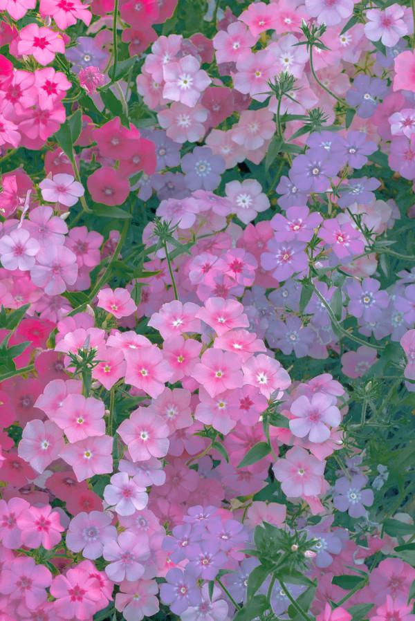 2021-11-12 2021-11-12