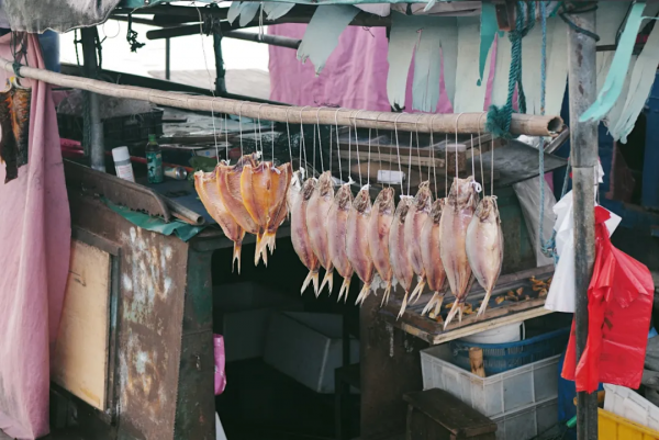 傍晚的贛州古浮橋，是我今年看過最美的畫面