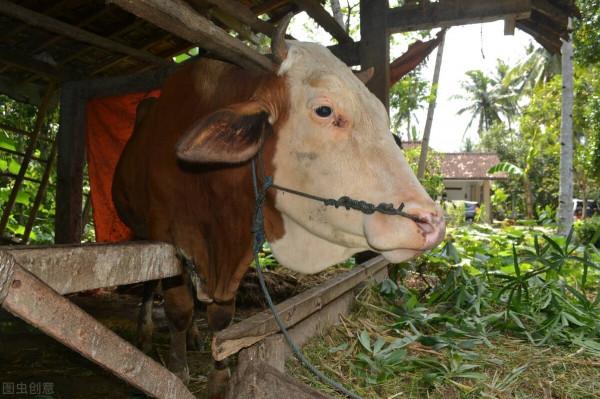 朱元璋與二八定律