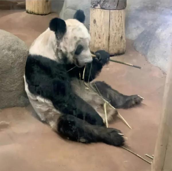 美國真的是我們幻想中的那個樣子嗎? 美國真的是我們幻想中的那個樣子嗎?