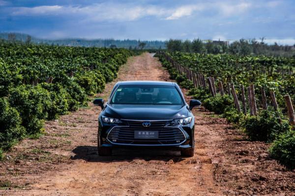 絲路明珠 塞北江南 – 凱美瑞雙擎與亞洲龍雙擎寧夏遊