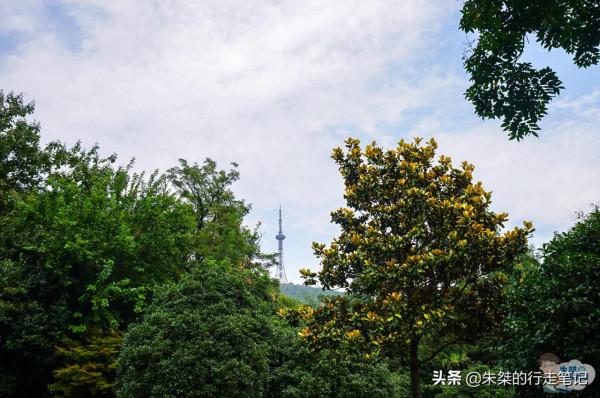 安徽最小地級市,內含皖北地區至高點,是當地唯一大型綜合性公園 安徽最小地級市,內含皖北地區至高點,是當地唯一大型綜合性公園