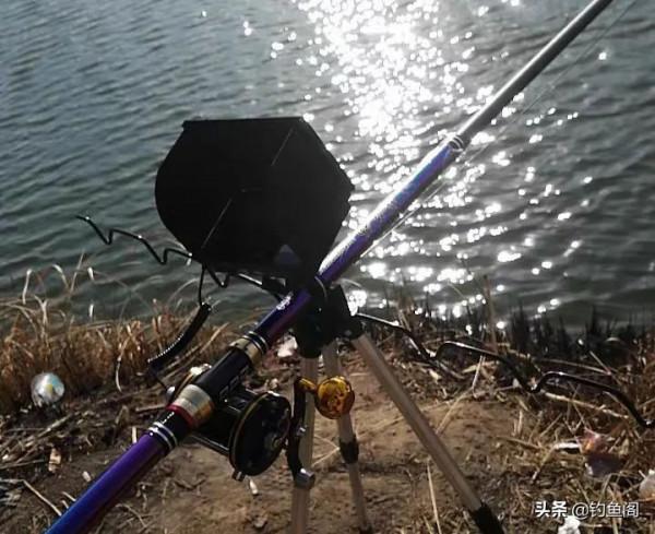 釣魚圈也存在鄙視鏈？野釣黑坑吵得最兇，路亞在角落瑟瑟發抖