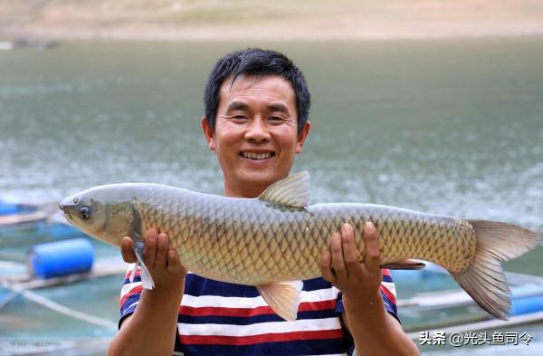 玉米釣不到魚的3個原因,其實都可以避免,只怪自己懶 玉米釣不到魚的3個原因,其實都可以避免,只怪自己懶