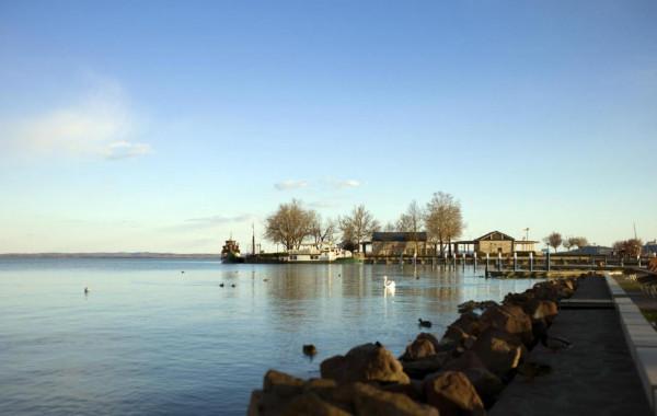 湖庫野釣，就選這幾個釣位，竿竿中魚一點都不難
