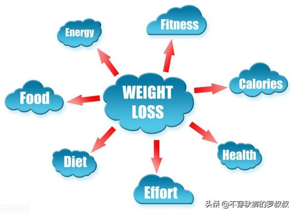 想減脂?首先你得知道脂肪是什麼 想減脂?首先你得知道脂肪是什麼