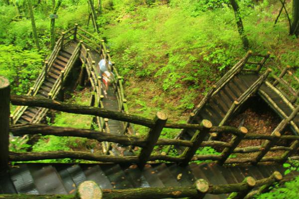 四川藏了個人間秘境，被贊“溶洞王國”，遊客們都“慕名而來”