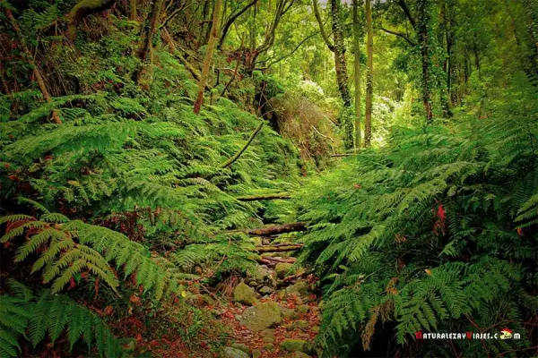 跟著亨利卡維爾一起去看風景如畫的《獵魔人》取景地