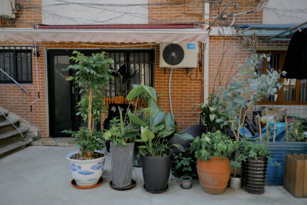 無弄堂，不上海