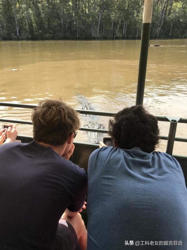 新奧爾良：看鱷魚，吃鱷魚