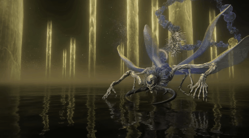 賽博鬥獸？女子摔跤？老頭環不用動手可以這麼玩