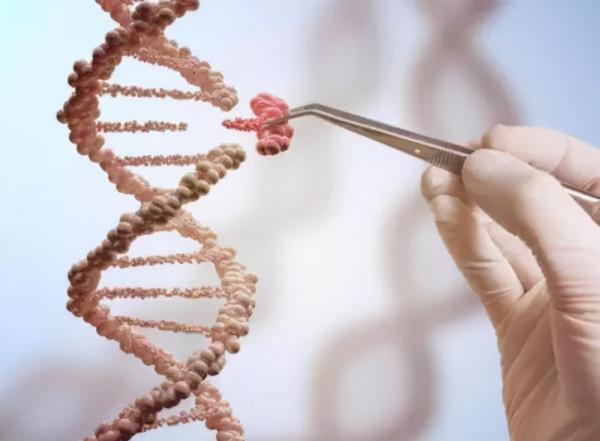 你希望活多久？英媒稱人類能活到130歲，但機率只有百萬分之一