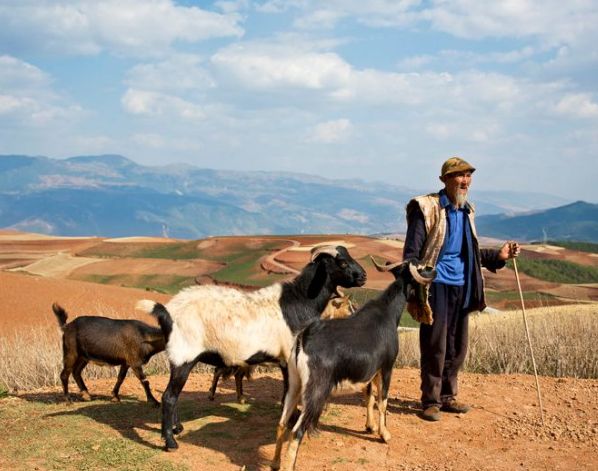 朋友找他借錢後失蹤，多年後朋友女兒找上門，誰知不是來還錢的