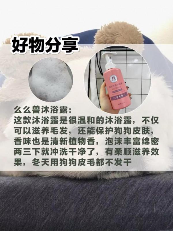 狗狗洗澡三步曲~詳細洗澡步驟