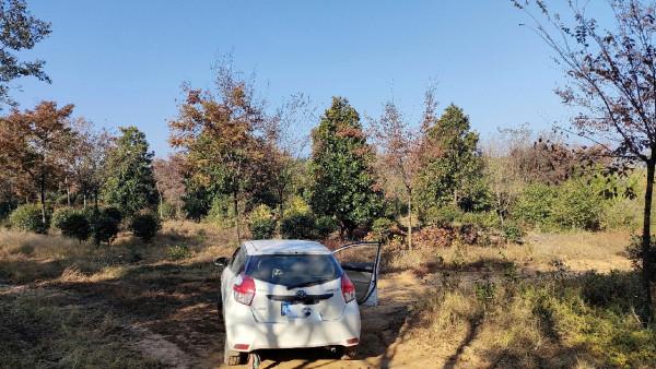 向左還是向右該何去何從，男人的野性在呼喚