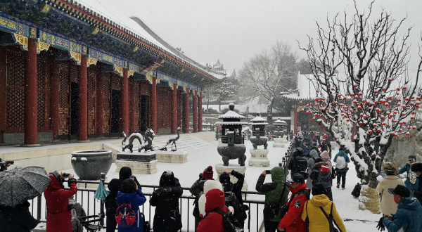 紅燈映白雪，秒變&OpenCurlyDoubleQuote;雪容融&rdquo;！京城公園已吸引7萬人次打卡