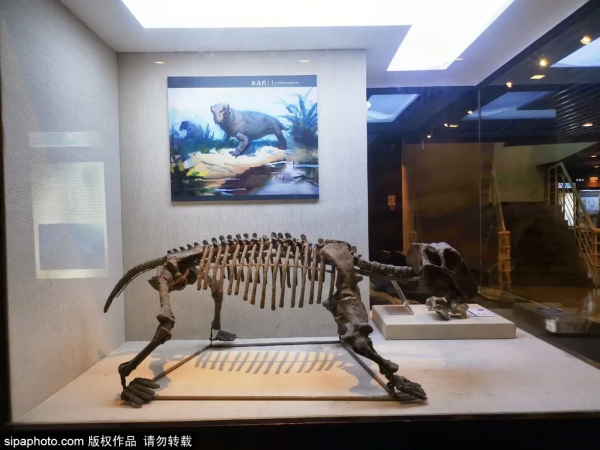 金秋穿越古今時光,來京城這些小眾“古”博物館漲知識~ 金秋穿越古今時光,來京城這些小眾“古”博物館漲知識~