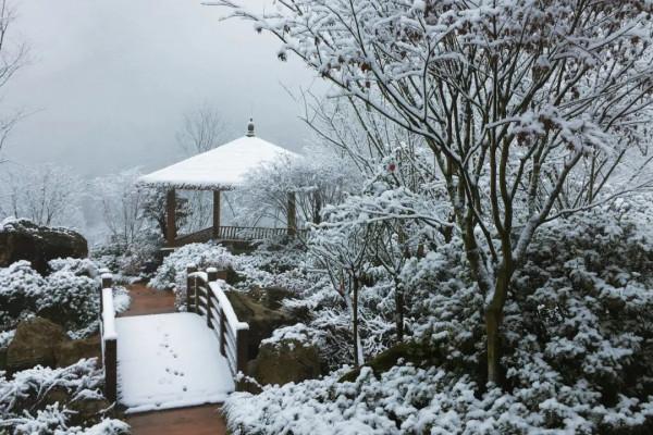 天府旅遊名縣 | 天府花溪谷：一大波福利即將來襲！超讚不限量特惠，你準備好了嗎！