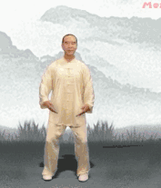 欲練太極先練八段？