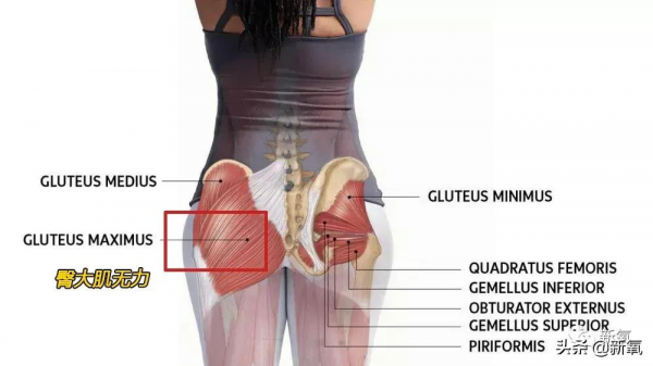 第一次聽說走路也能吸粉? 第一次聽說走路也能吸粉?