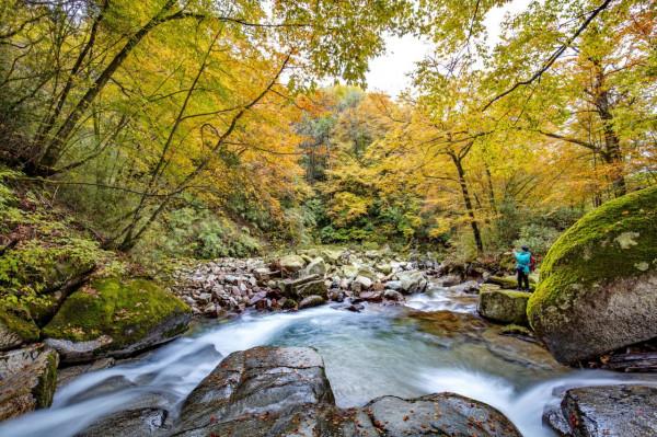 秘境南壩溝——四川光霧山 秘境南壩溝——四川光霧山