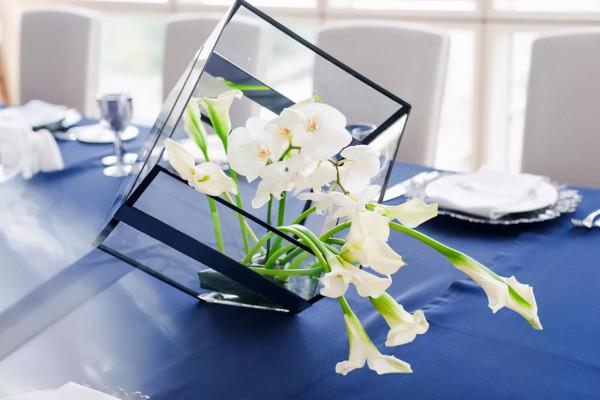 這3種花怕太陽曬,陰涼通風的環境才適合生長,還要有散射光 這3種花怕太陽曬,陰涼通風的環境才適合生長,還要有散射光