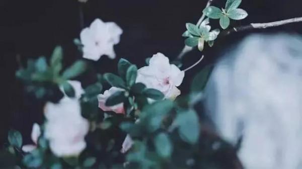 成年人的世界從來沒有容易兩字，能輕易放下的只是生命中的過客