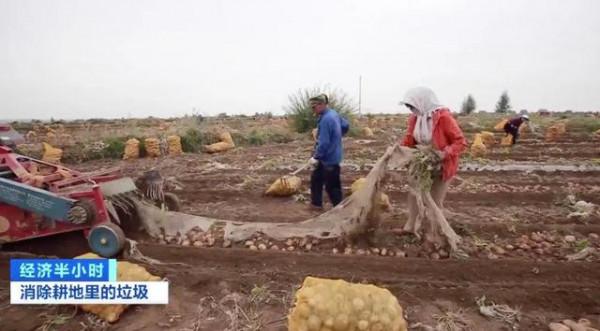 “致富膜”變白色汙染，咋消除？近百億元大市場爆發