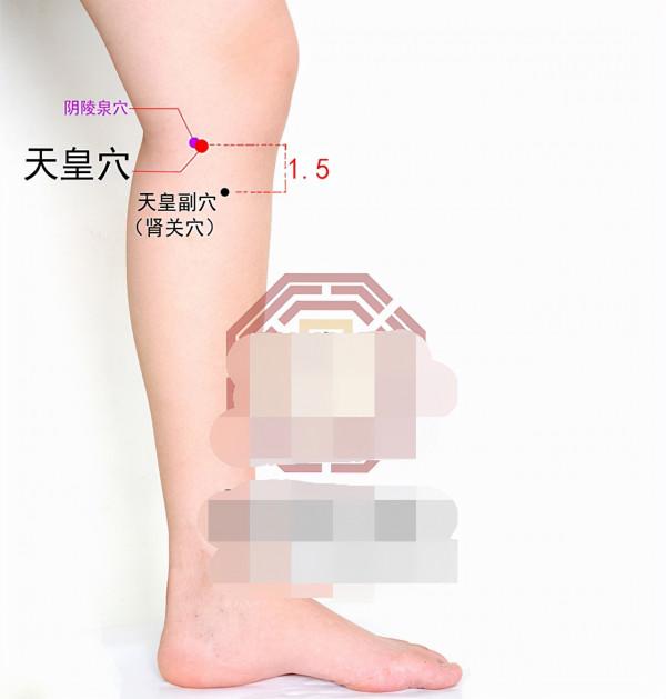 中醫針灸頸部疾病處方1