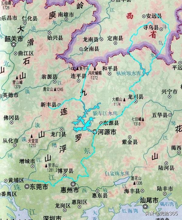 痴迷的釣魚人！廣東一河道成天然黑坑，無數釣魚人慕名而來