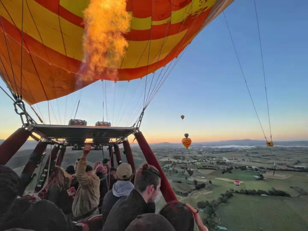 離婚後才發現跟前妻生育的孩子不存在自然血親關係，如何處理？