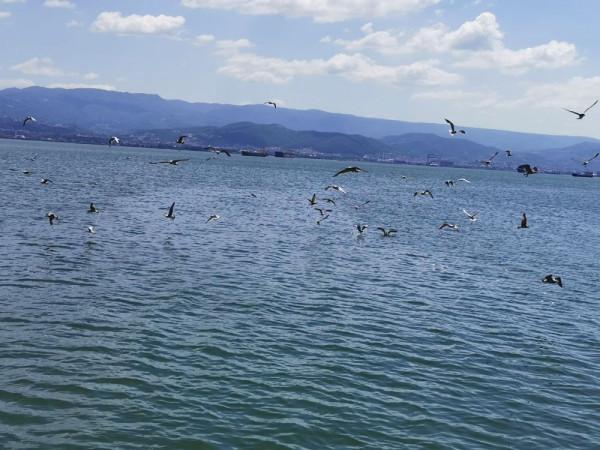 獨自旅行：土耳其&lpar;46&rpar;－遇見你真好