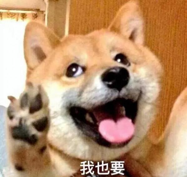 淘寶上有哪些冷門但是好吃的零食呢