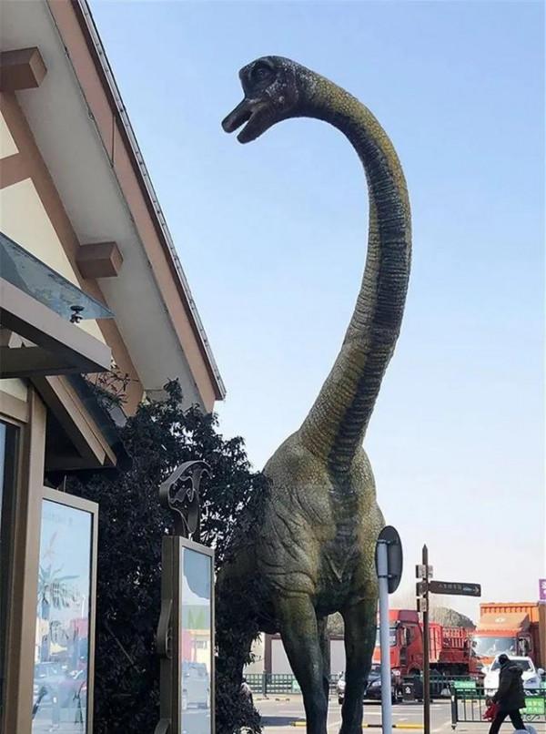 江蘇服務區，到底有多壕？果然，貧窮限制了我的想象力