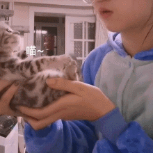 動物的世界人不懂，人的世界動物很清楚