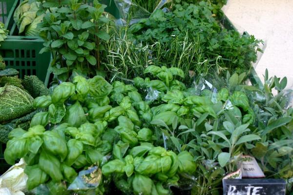 癌症患者的飲食只能是寡淡無味嗎？合理運用好香料提味還能抗癌