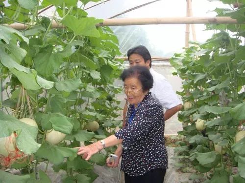 她已認不得人，卻始終忘不了這件事