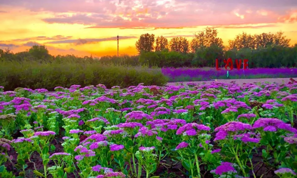 【懷柔消費“微中心”】2021北京網紅打卡地榜單公佈,懷柔這7家火速出圈 【懷柔消費“微中心”】2021北京網紅打卡地榜單公佈,懷柔這7家火速出圈