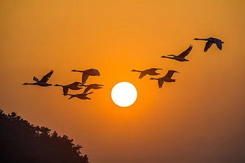 【群島·小小說】無人關注 【群島·小小說】無人關注