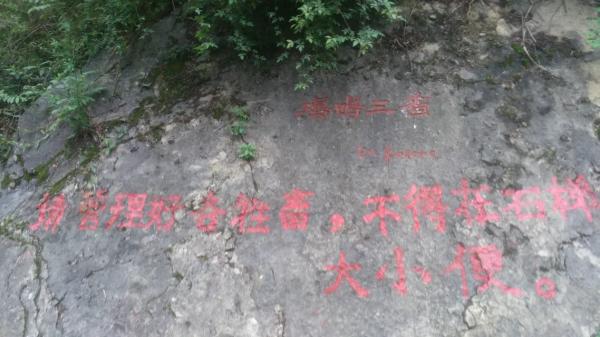 一日跨三省,步行在春天 一日跨三省,步行在春天