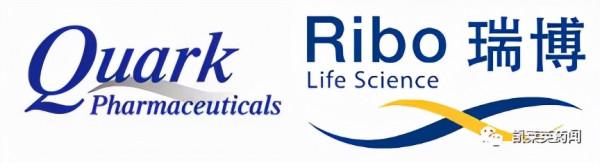 聚焦藥靶:P53的新藥開發即將迎來破冰時刻? 聚焦藥靶:P53的新藥開發即將迎來破冰時刻?