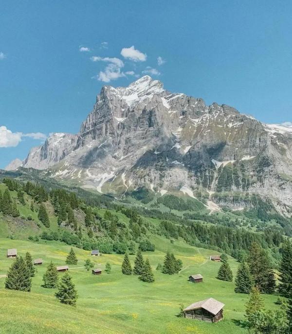 阿爾卑斯山僧侶峰高地的草甸真的太震撼了